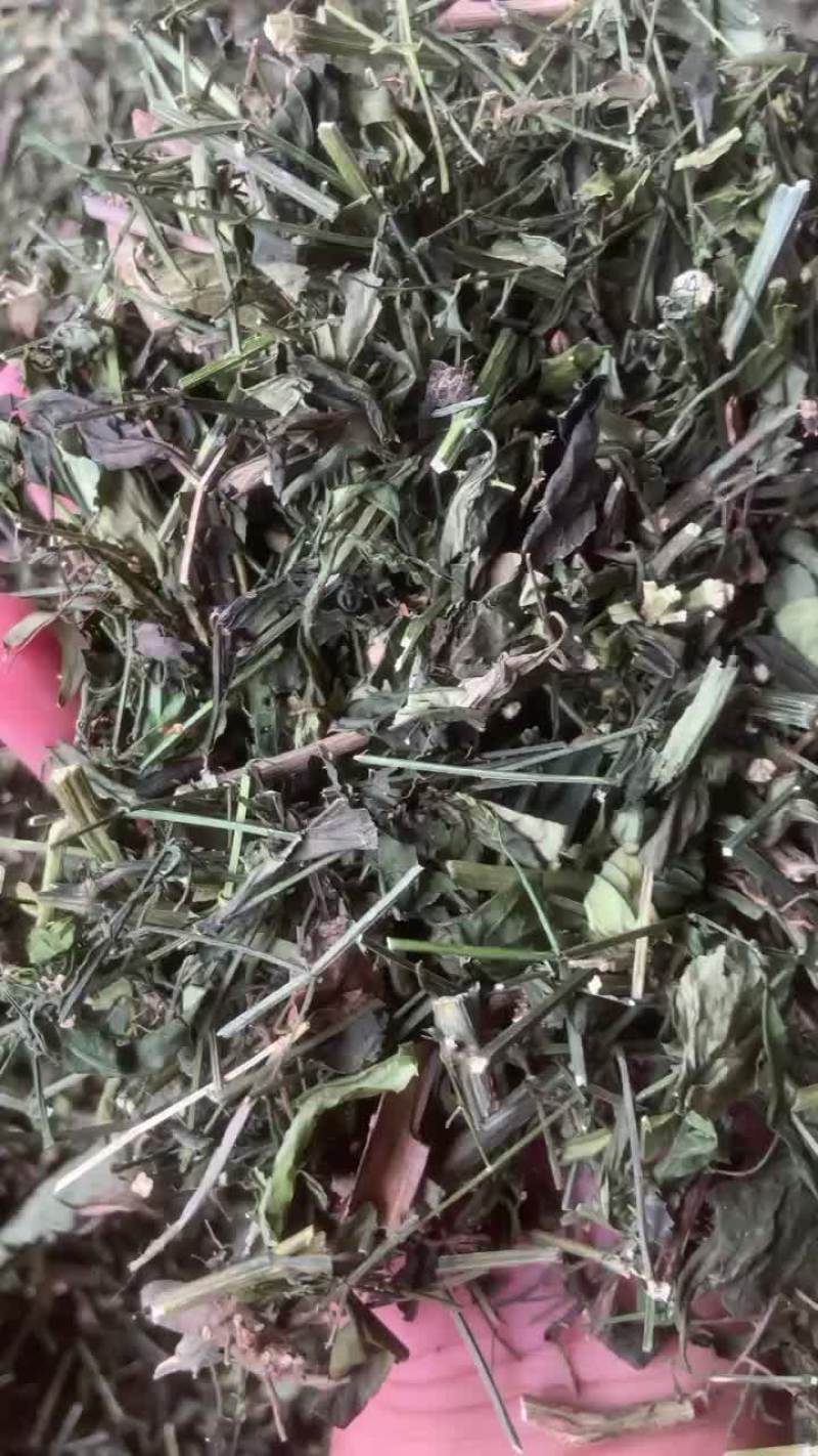 穿心莲全草切段