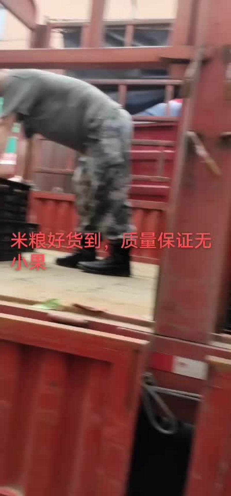 猕猴桃