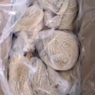 3657金钱肚