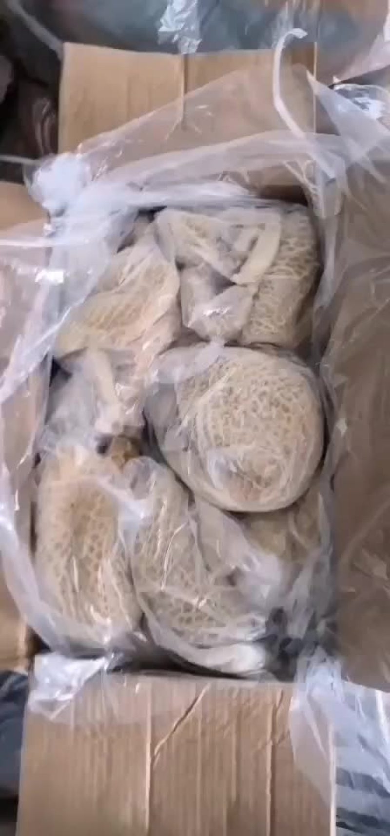 3657金钱肚