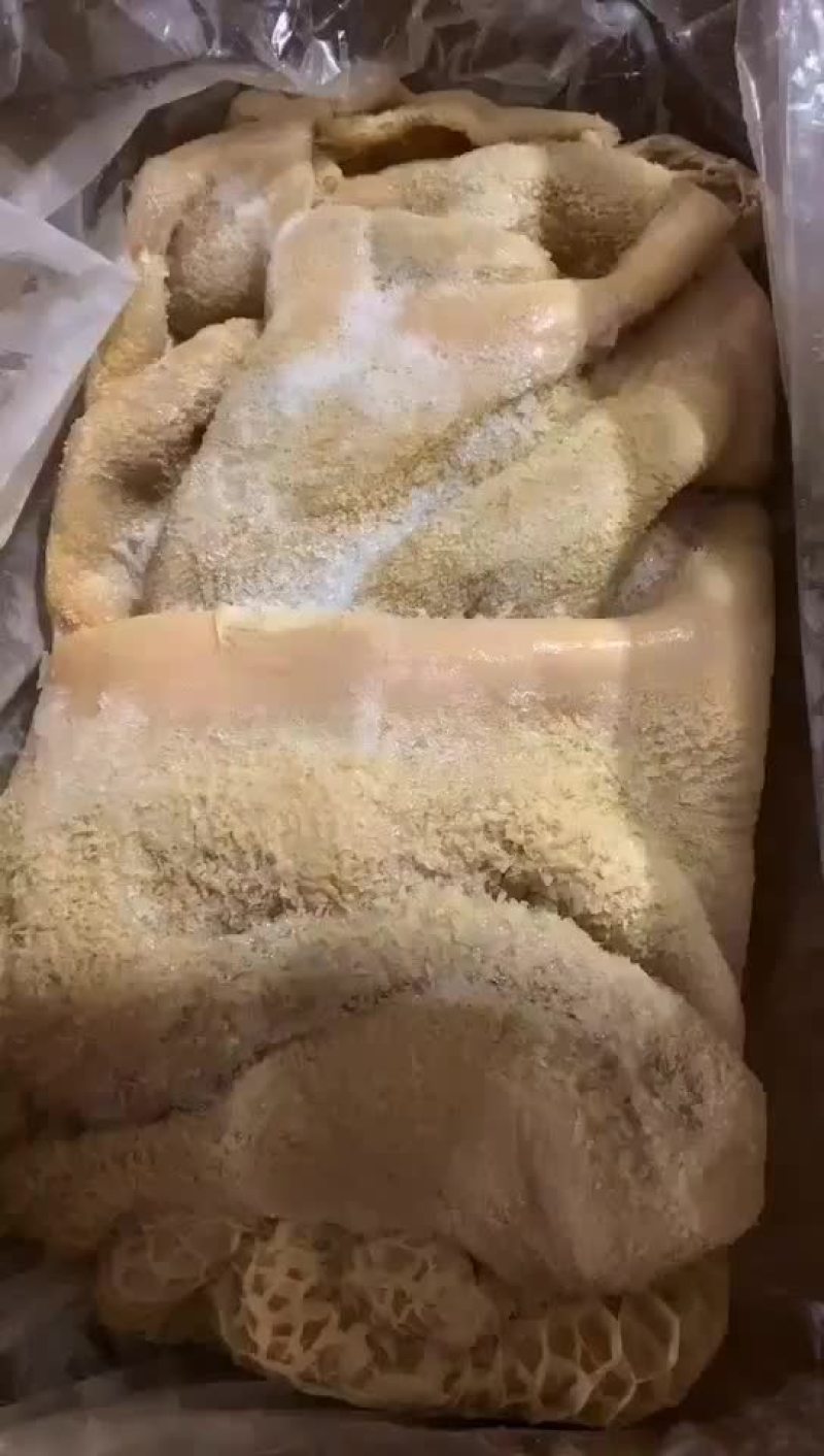 4407牛肚
