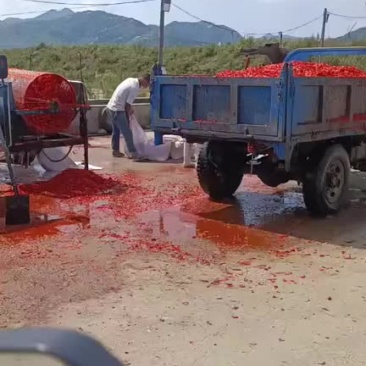 辣椒皮辣椒酱