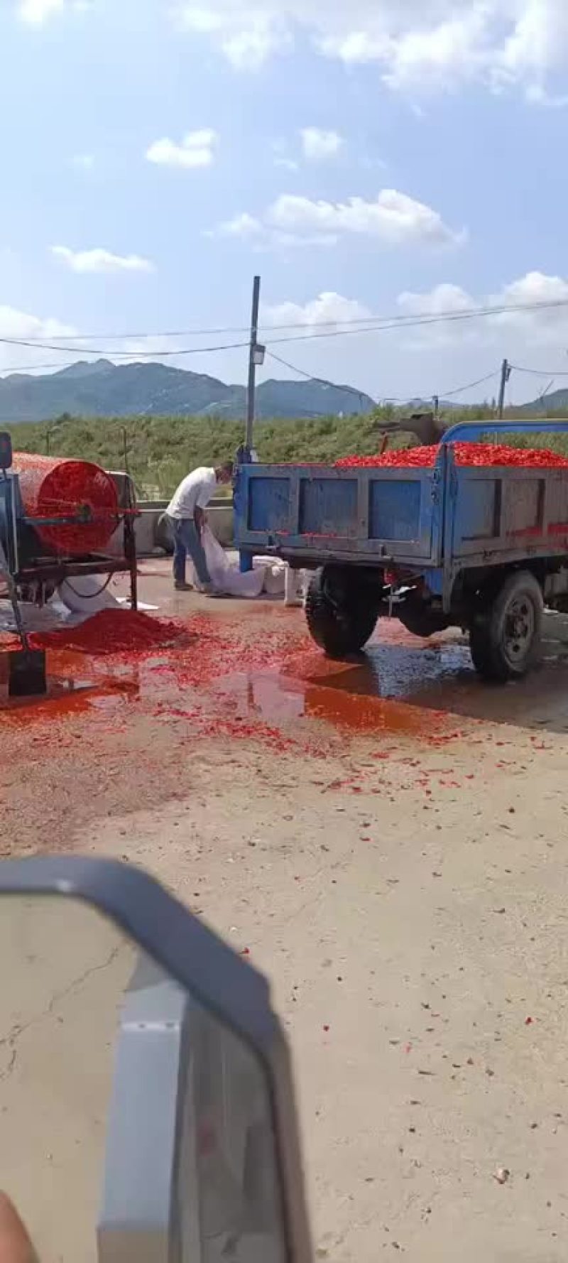 辣椒皮辣椒酱