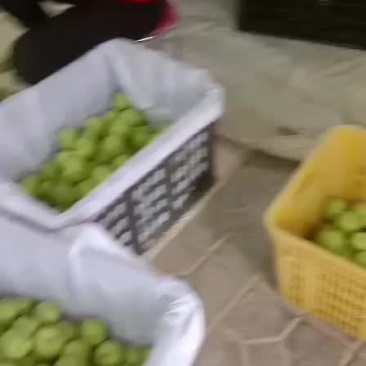 水果