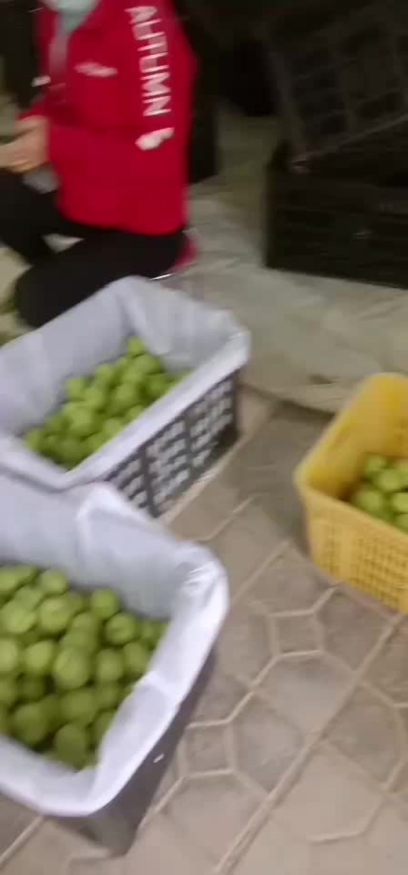 水果