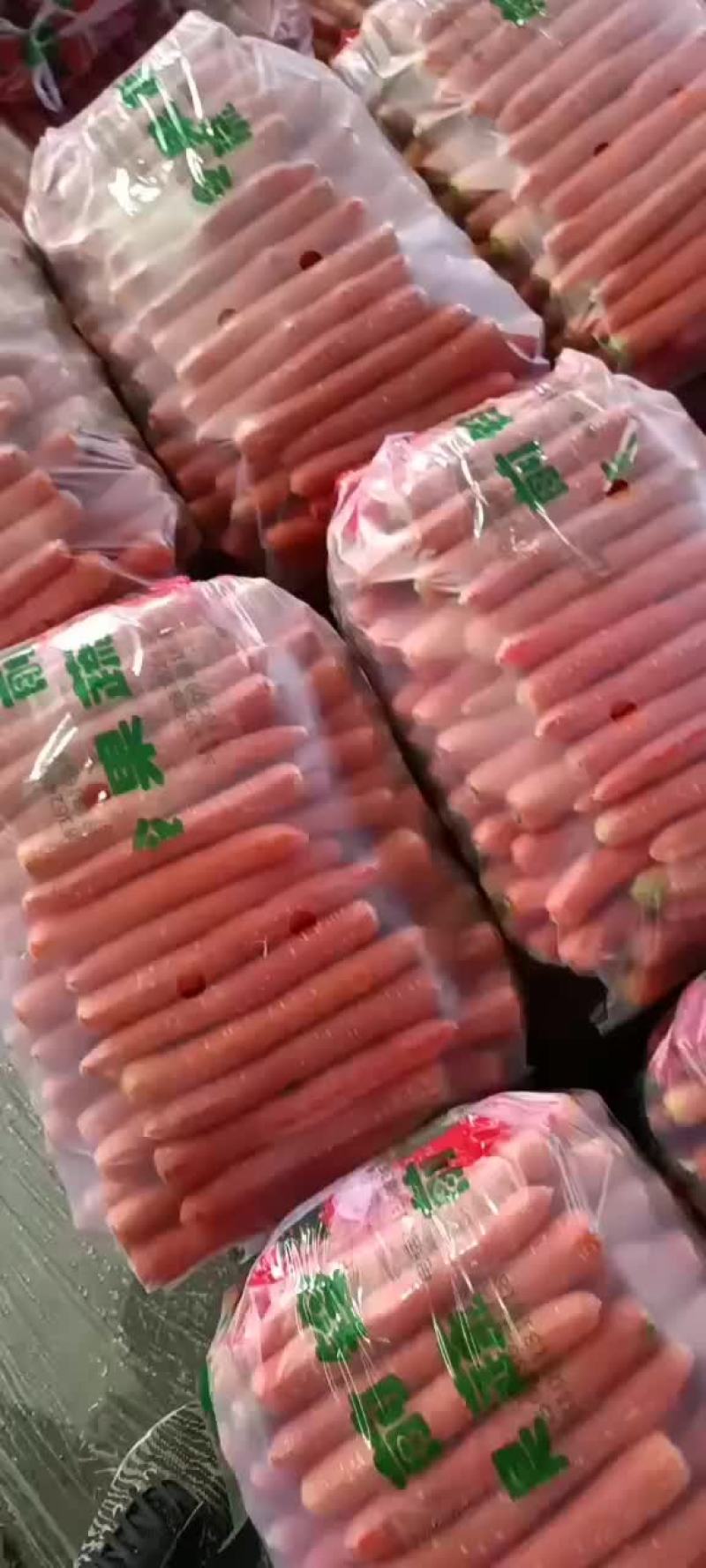 陕西大荔沙地称杆红萝卜，基地直供，价格美丽，欢迎来电！