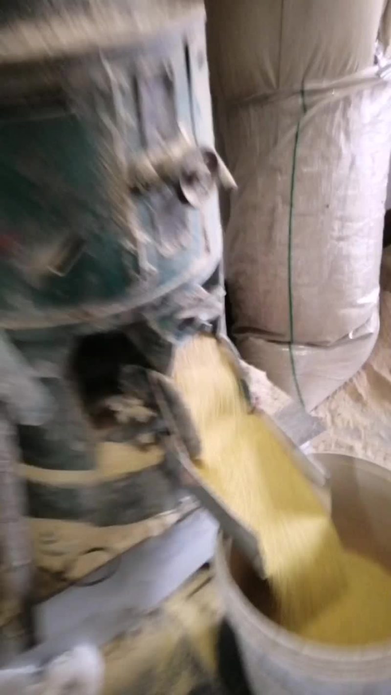春谷小米加工中