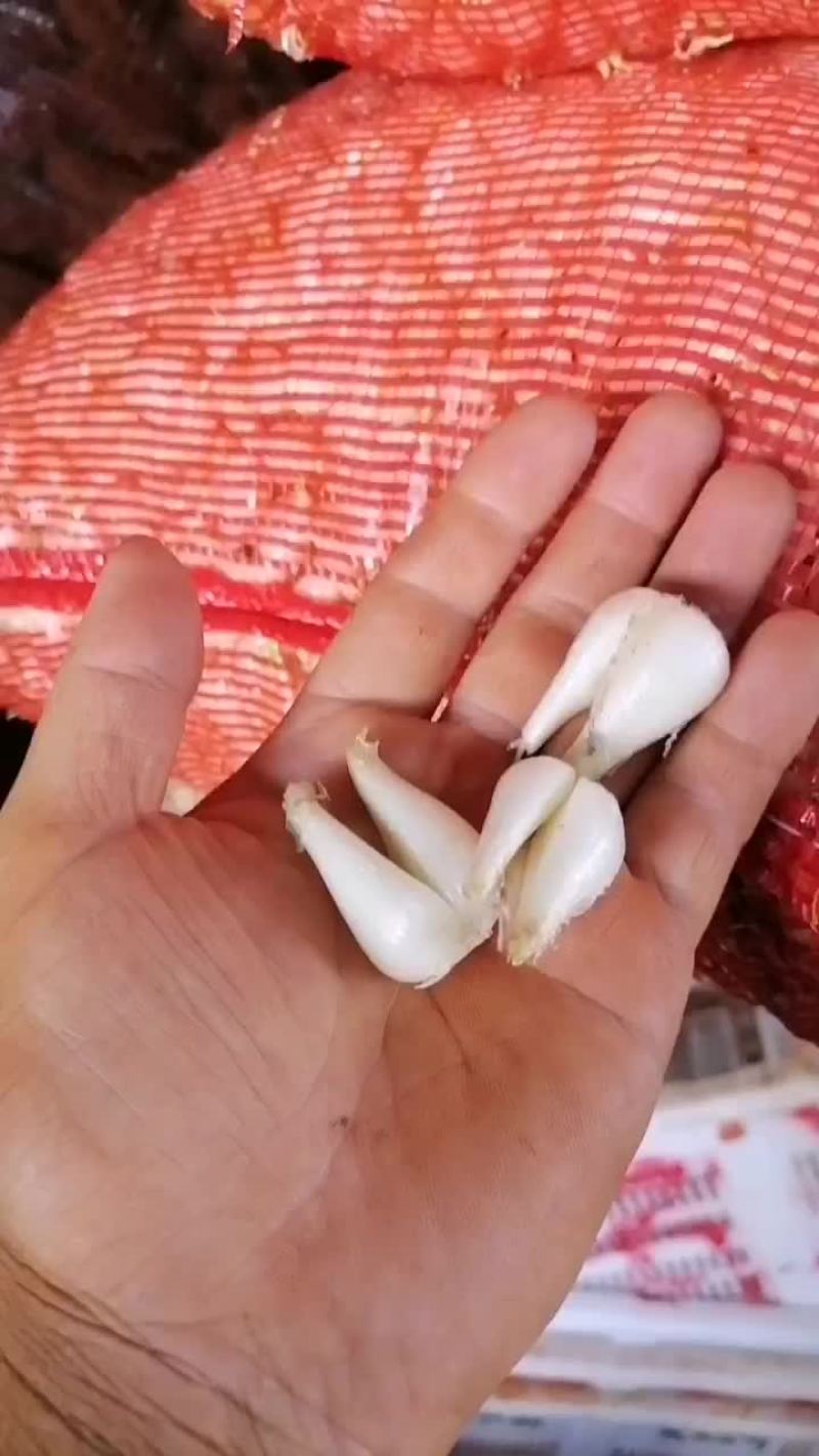 藠头