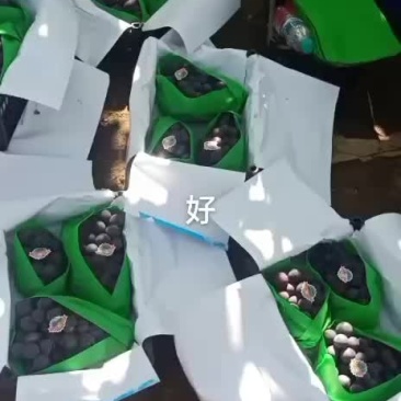 巨峰葡萄
