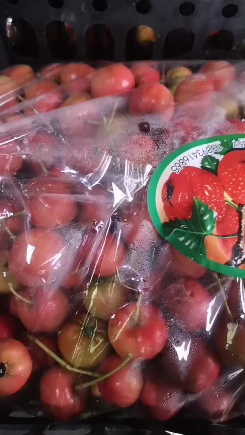 大棉球