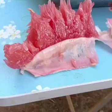 大量红心柚出手