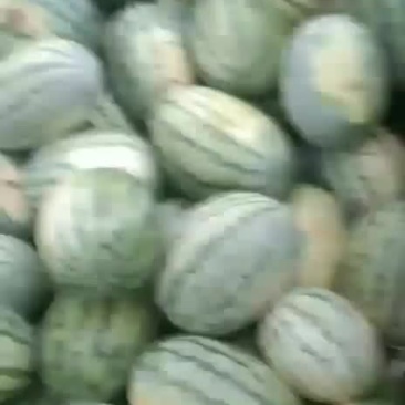 1016/7斤的