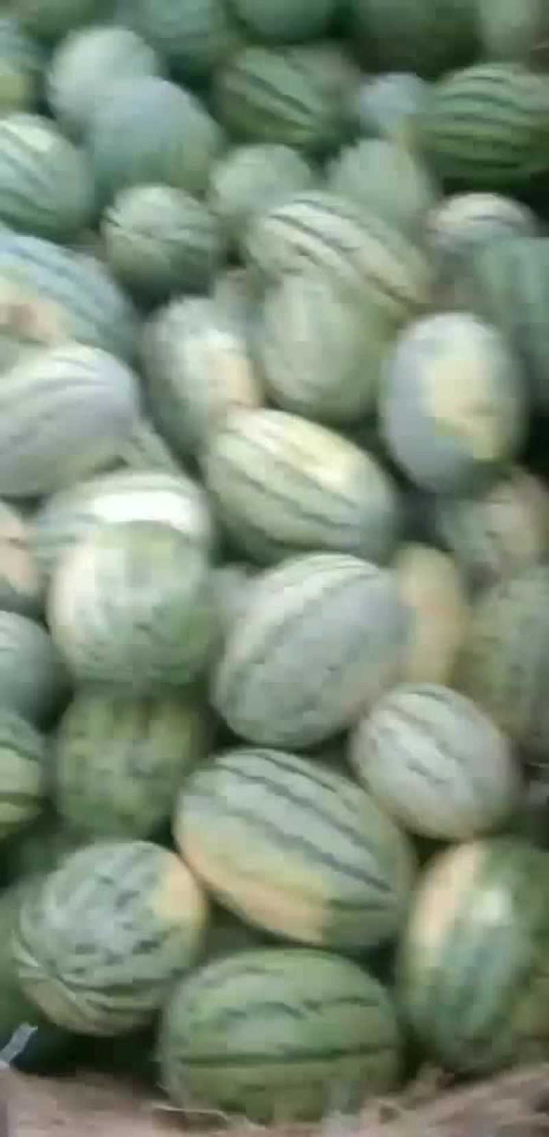 1016/7斤的