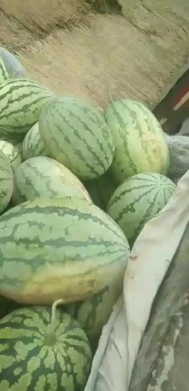 1016/7斤的