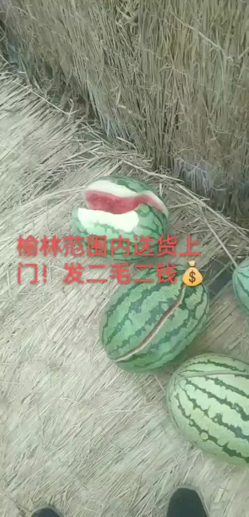 1016/7斤的
