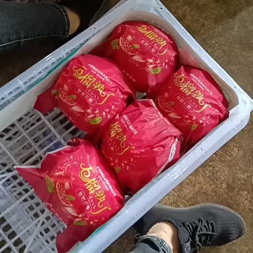 软籽石榴