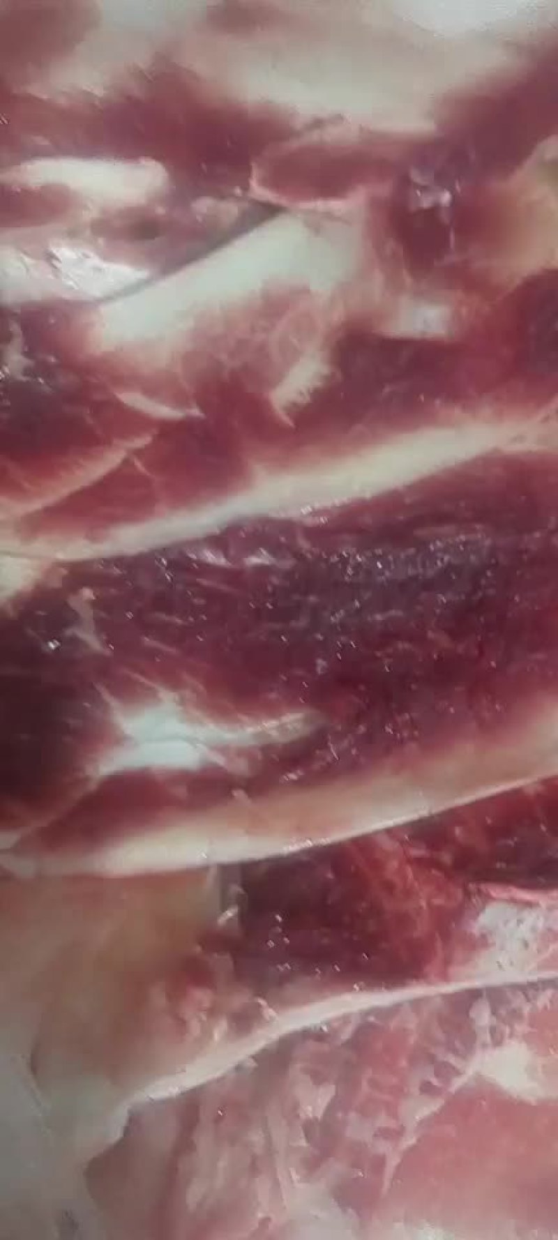 月牙骨