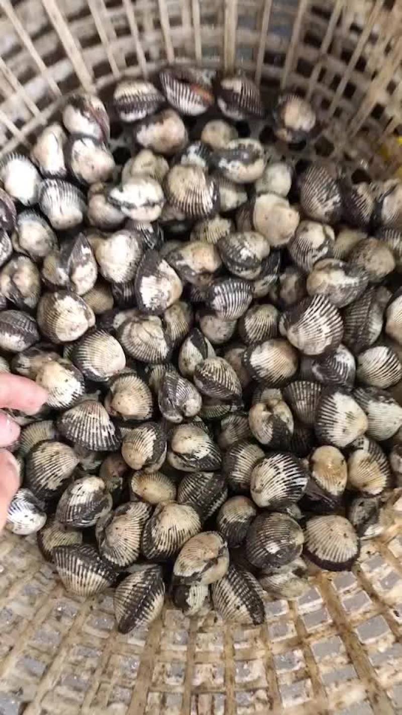 当朝毛含，自家小船上货