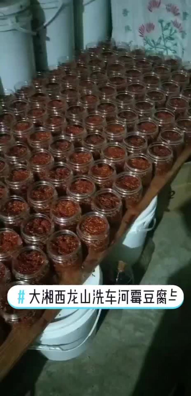 霉豆腐