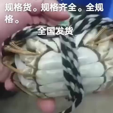 河蟹