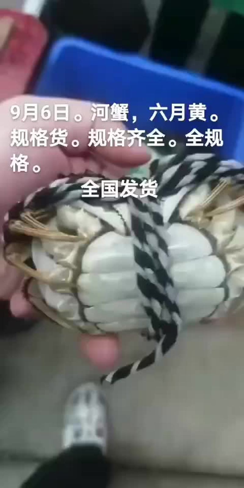 河蟹