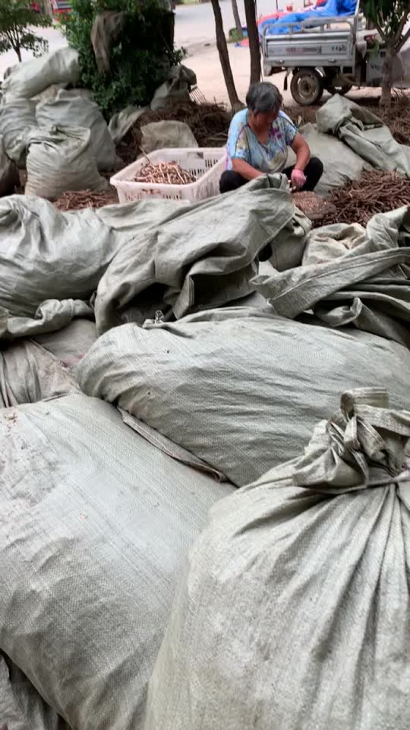 黑丹皮