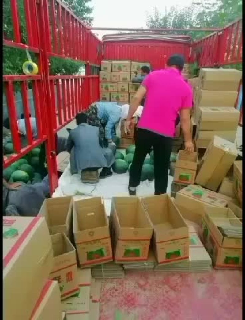 无籽西瓜