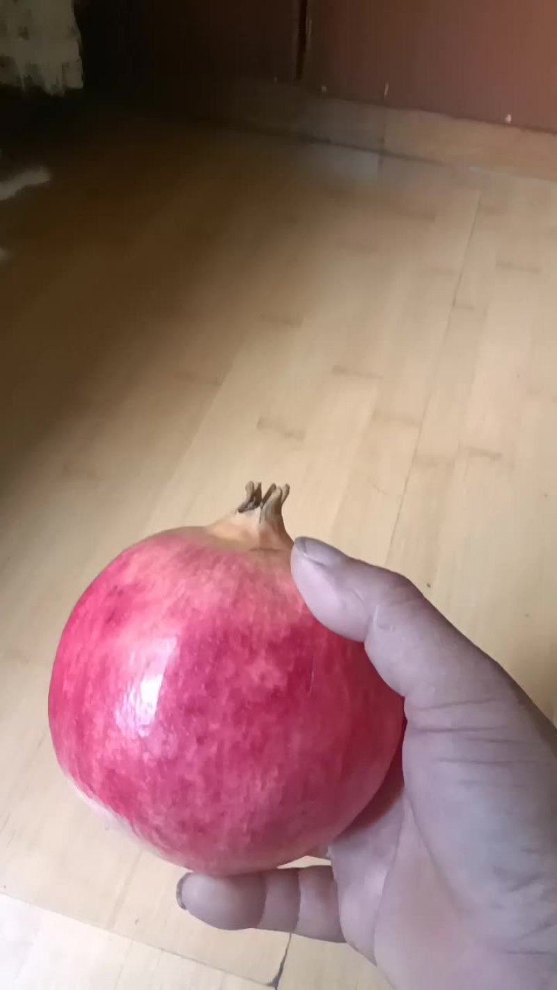 会理软籽石榴