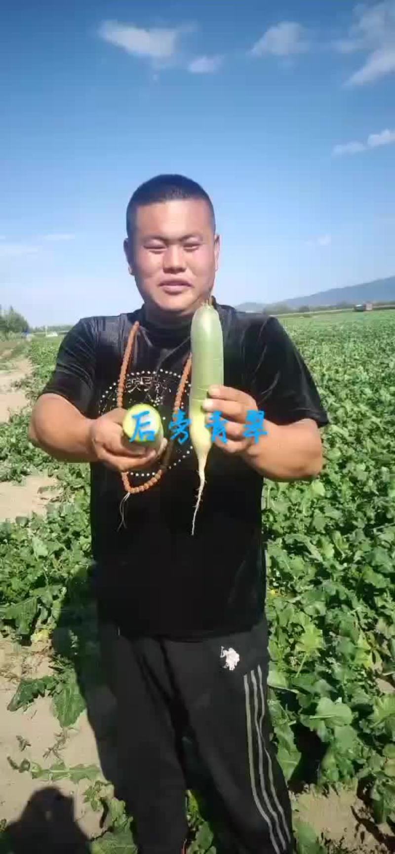 后庞清脆