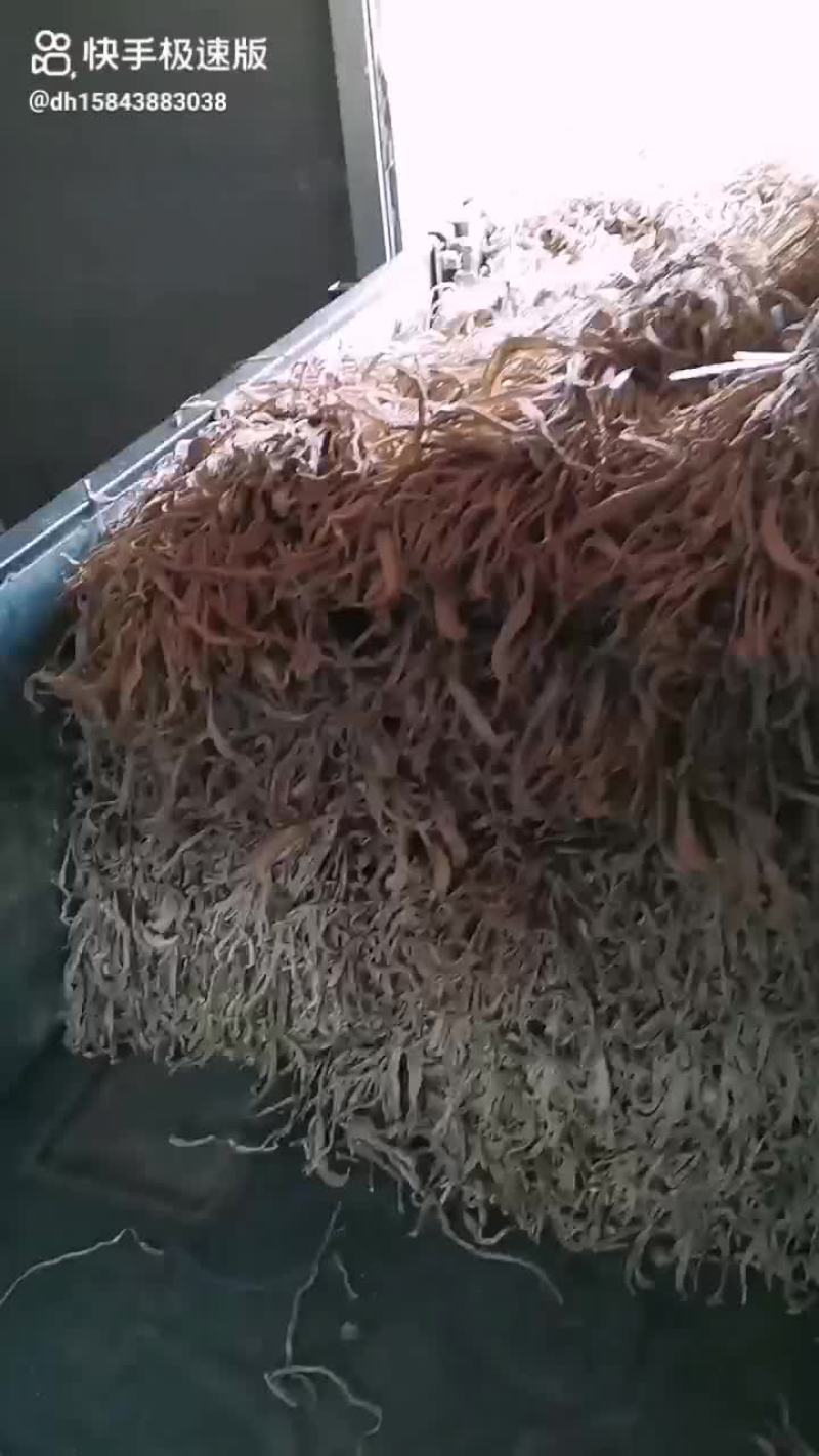 我是农户，我们这里有大量萝卜条出售，质量很好，量大，