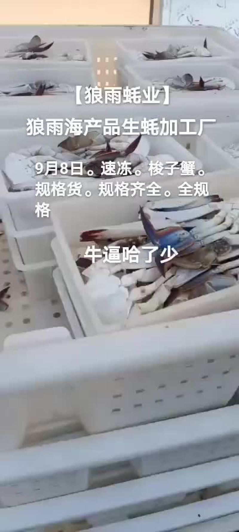 速冻梭子蟹