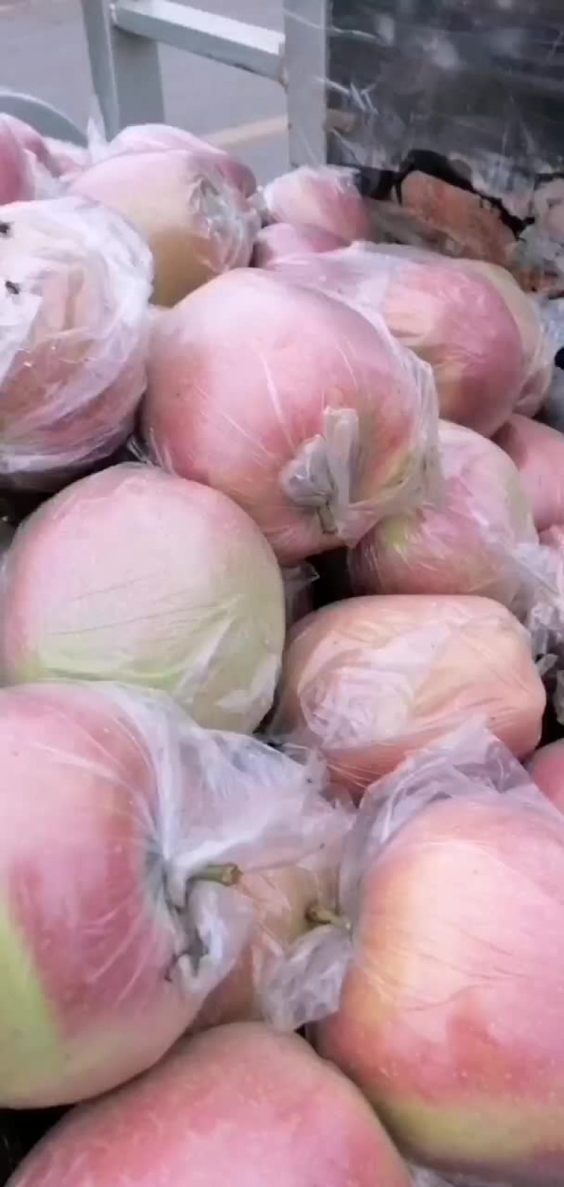中秋王苹果熟了，欢迎客户过来