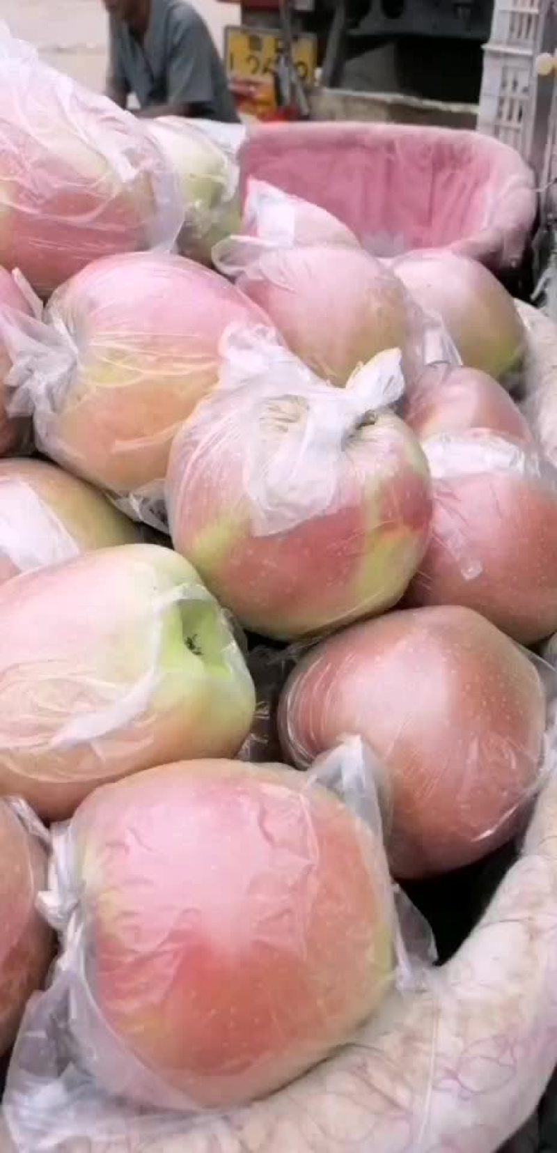 中秋王苹果熟了，欢迎客户过来