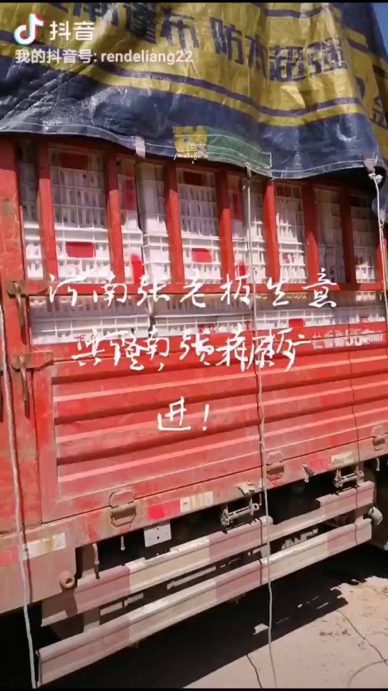 纸袋红星红彤彤，色艳味