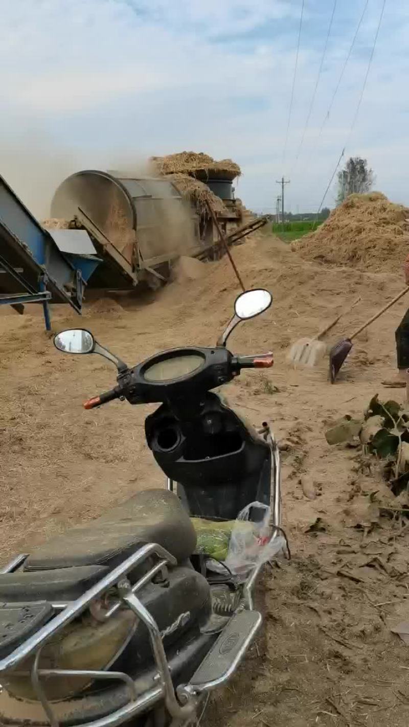 养殖小麦秸秆牛羊干草料