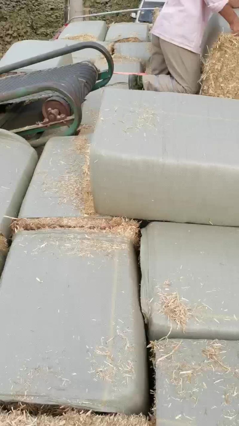 养殖小麦秸秆牛羊干草料