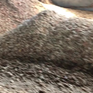玉米芯，玉米芯颗粒
