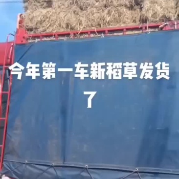 2021年9月9号，小方梱新稻草大量上市。欢迎老板们搔扰