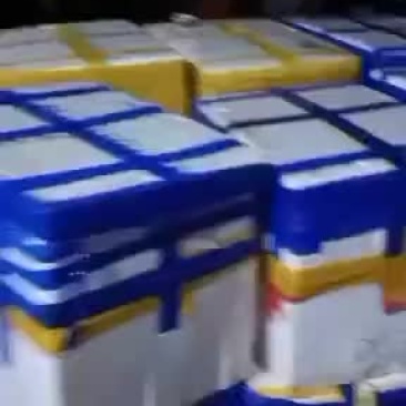 福建生蚝
