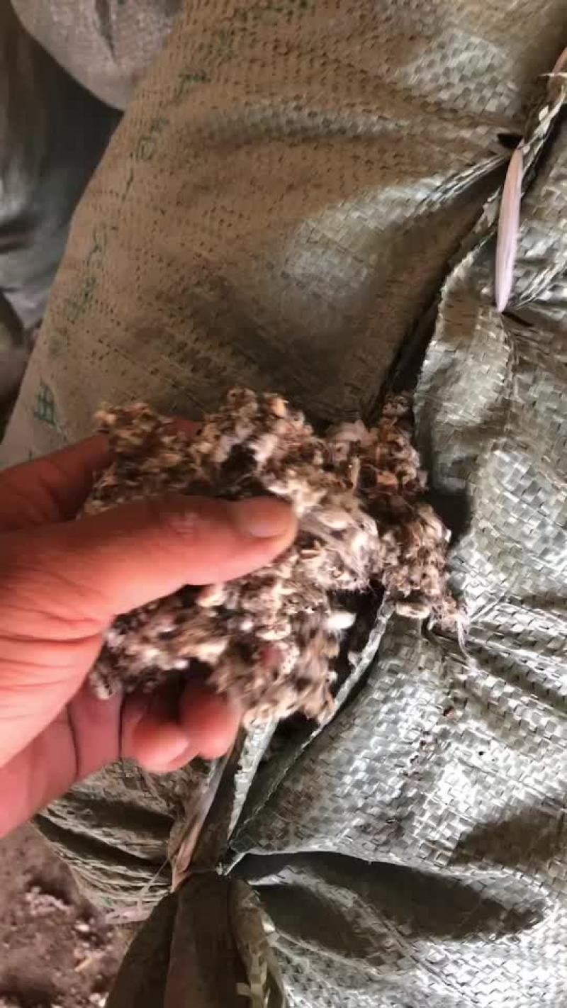 棉渣，长年出售精品棉渣