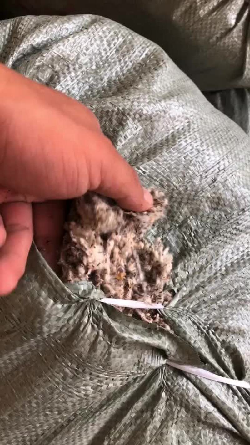 棉渣，长年出售精品棉渣