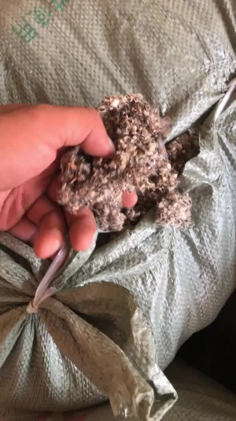 棉渣，长年出售精品棉渣