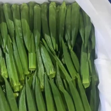 精品15斤装黄秋葵A货