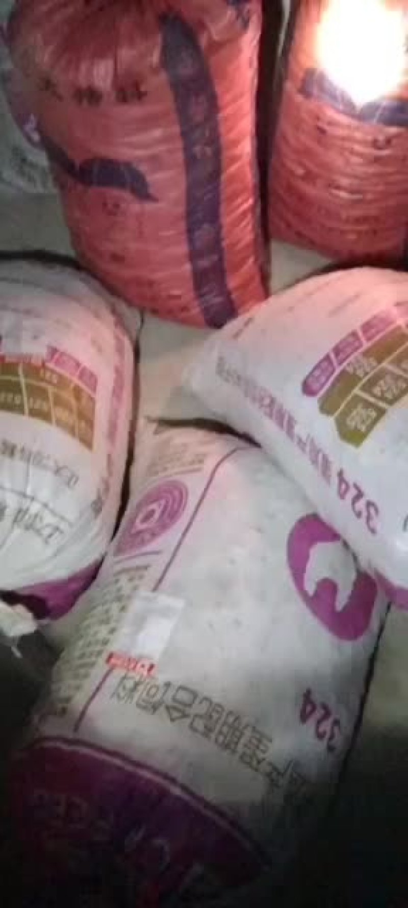 板栗现货打冷都有质量有保证量大