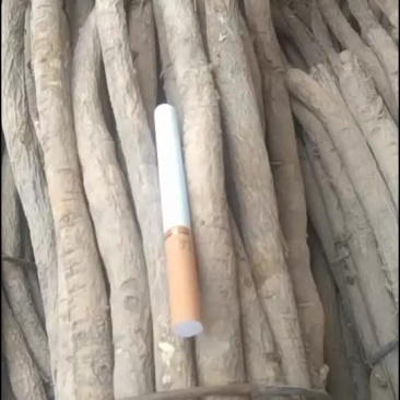 黄芪常年销售