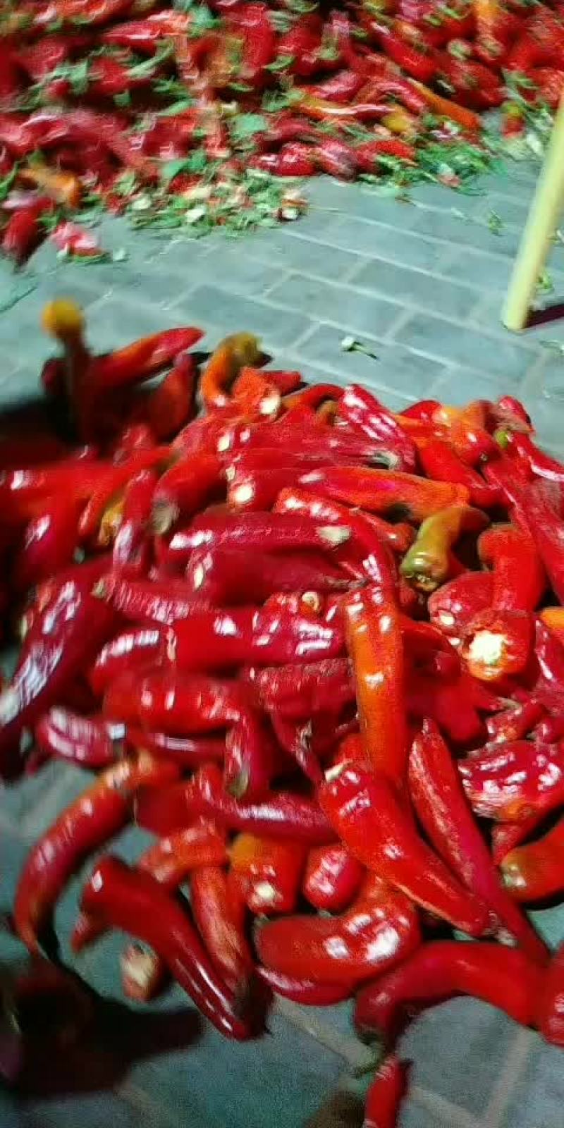 红牛角，螺丝椒，