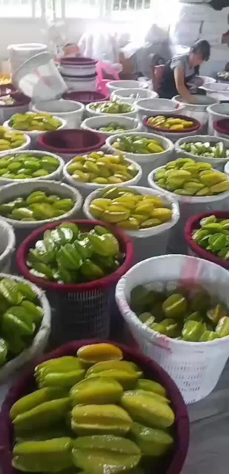 杨桃