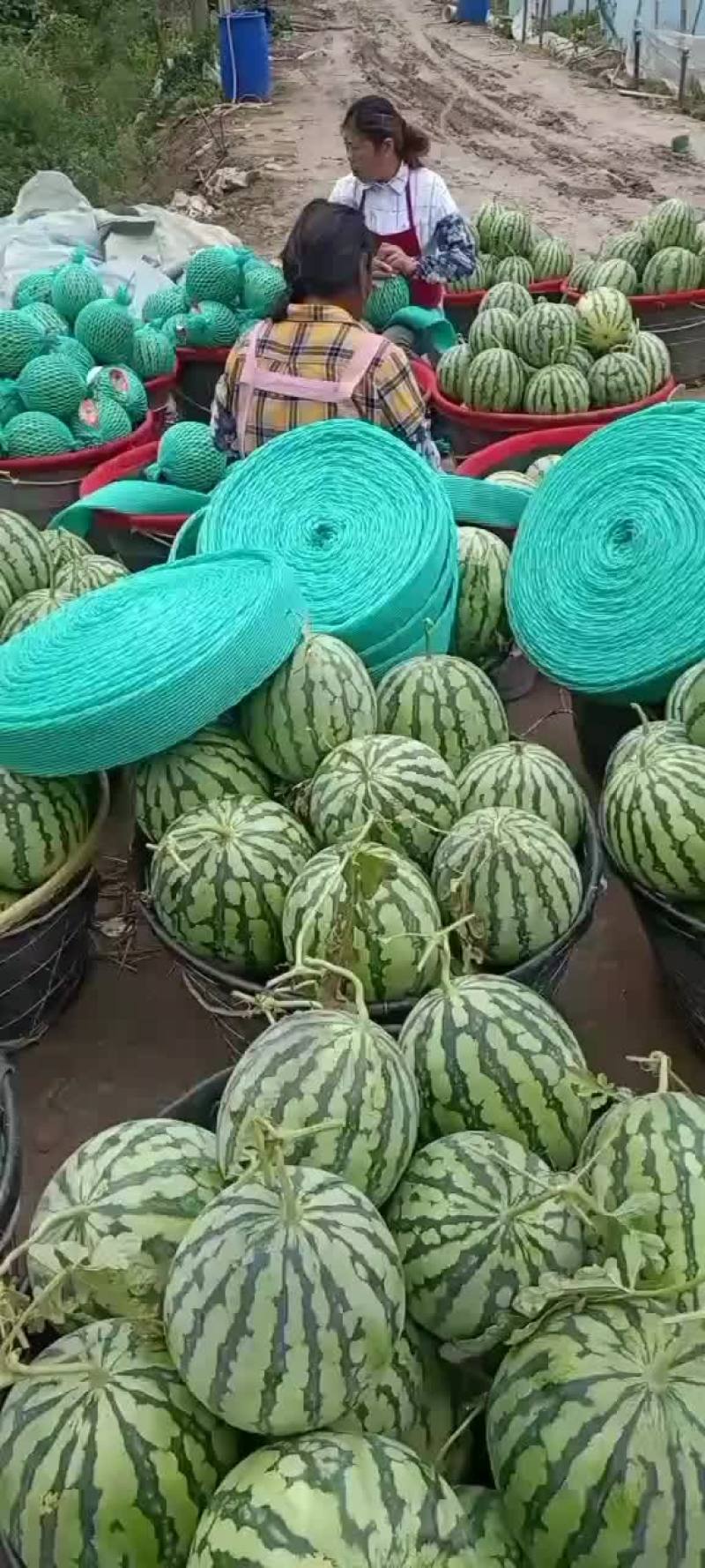 美都西瓜