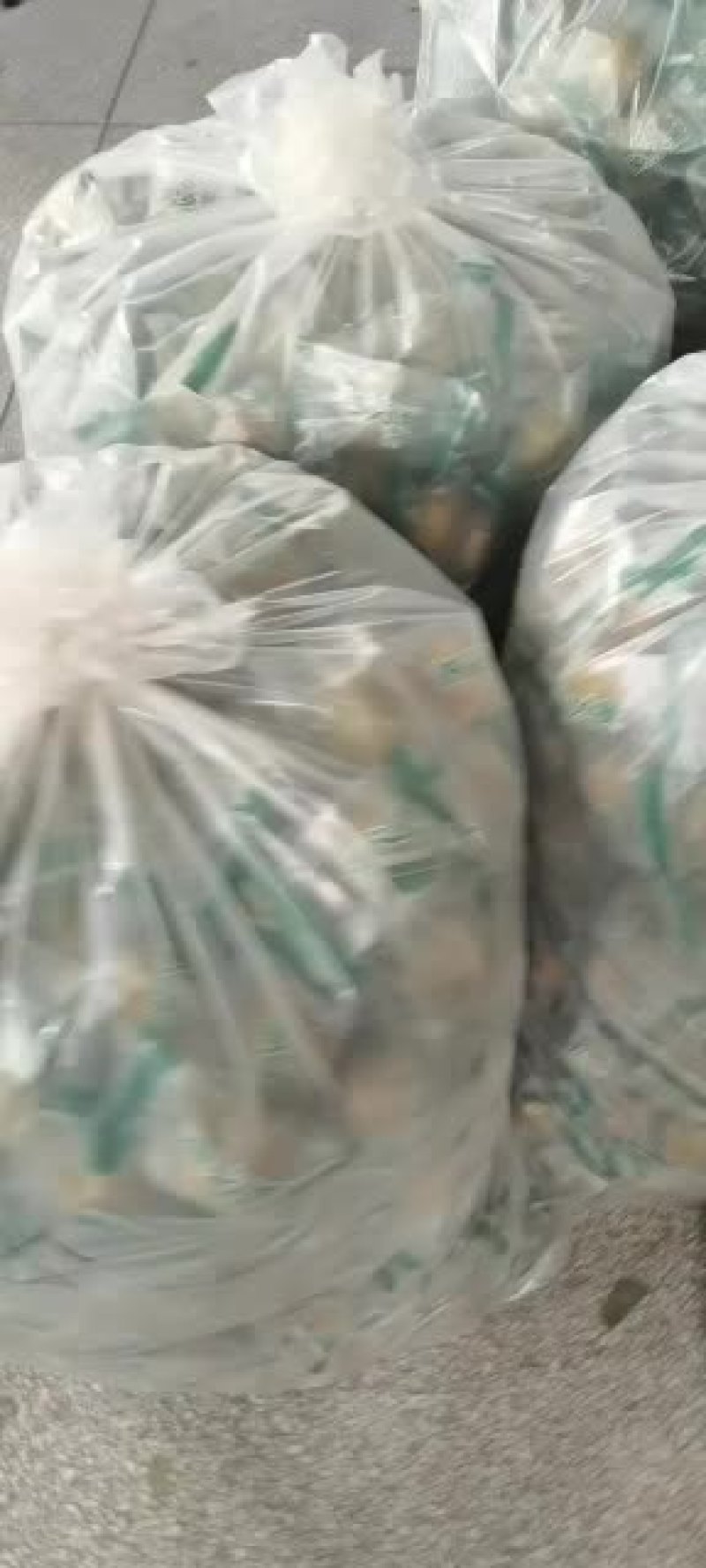 黄金罗汉果脱水果精装版