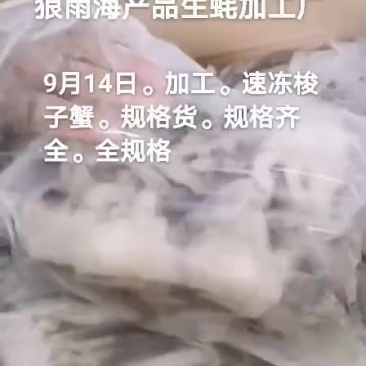 梭子蟹